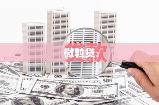 江岸微粒贷