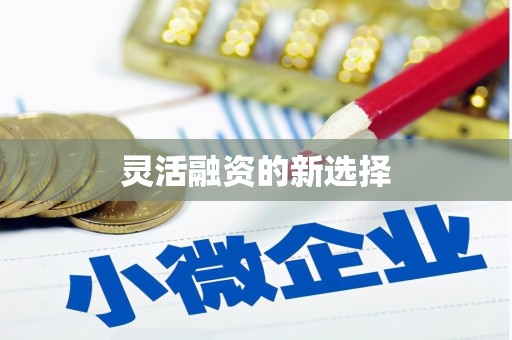 江岸灵活融资的新选择