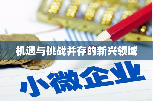 江岸机遇与挑战并存的新兴领域