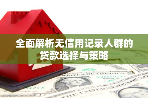 江岸全面解析无信用记录人群的贷款选择与策略