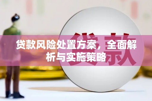 江岸贷款风险处置方案，全面解析与实施策略
