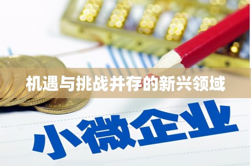 江岸机遇与挑战并存的新兴领域