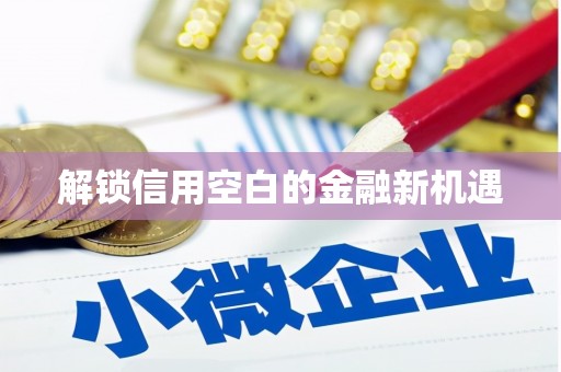 江岸解锁信用空白的金融新机遇