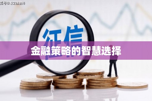 江岸金融策略的智慧选择