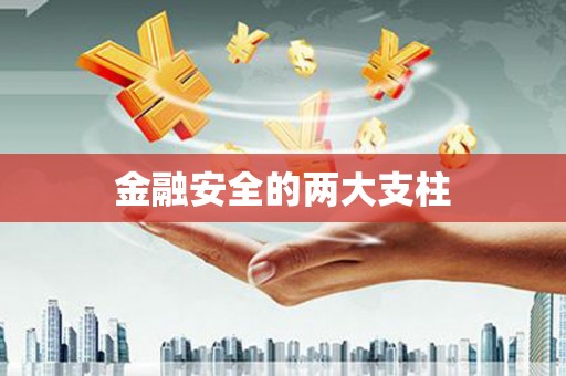 江岸金融安全的两大支柱