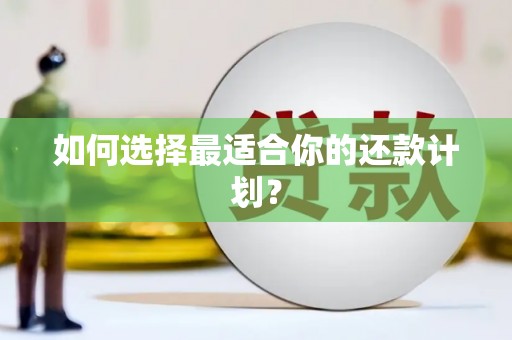 江岸如何选择最适合你的还款计划？